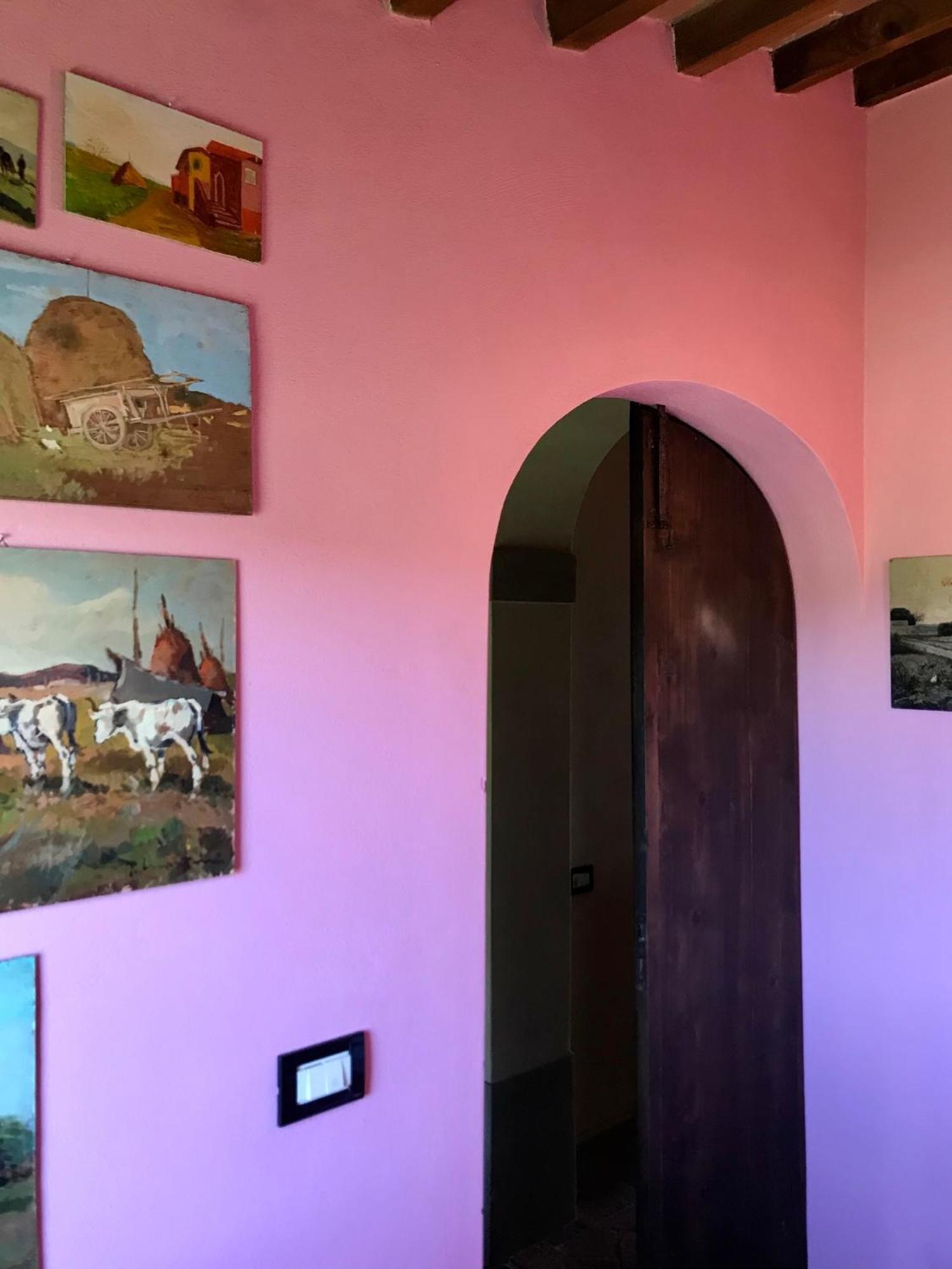Agriturismo La Palazzina Palaia Kamer foto